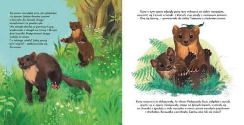 Mała Tarmosia. Czy borsuki się bawią? na Arena.pl