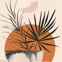 Plakat 50x50cm Palmowy Zachód