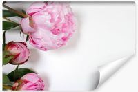 Fototapeta Ścienna Do Salonu KWIATY Piwonie Efekt 3D 90cm x 60cm