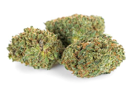 Susz konopny CBD | WHITE WIDOW | 100 g na Arena.pl