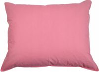 PODUSZKA 40X40 JASIEK Z PIERZA DARTEGO I PUCHU POLSKIE PIERZE I PUCH