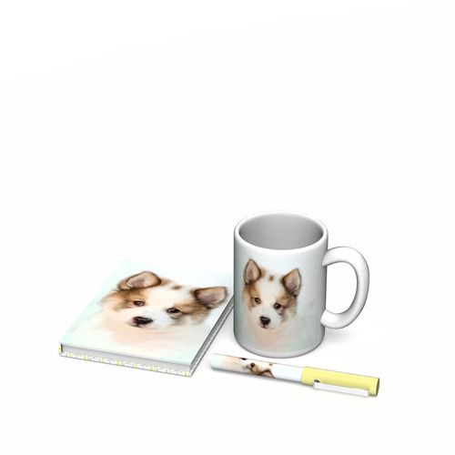 Gift set – dog na Arena.pl