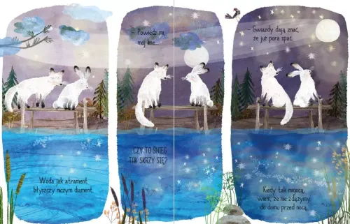 Co to jest ten śnieg? na Arena.pl