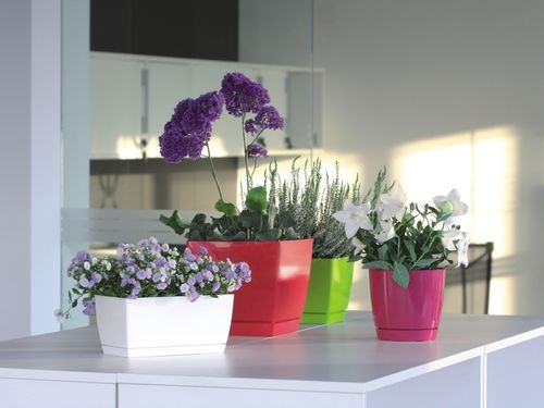 Doniczka COUBI DUKP100 z podstawką | Biały, Kształt Kwadratowy, Wymiary 10x10x7.5 cm, Kolor Biały, Prosperplast na Arena.pl