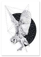 Plakat czarnobiały sowa księżyc 21x29,7 cm A4