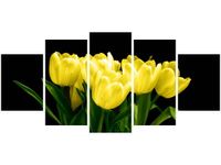 product-compare-58704135