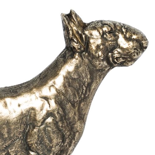 Bulterier - tabliczka - 1677 na Arena.pl