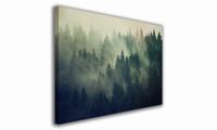 product-compare-61054771