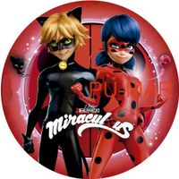 Opłatek na tort Urodziny Biedronka Czarny Kot Postać Tekst Gratis