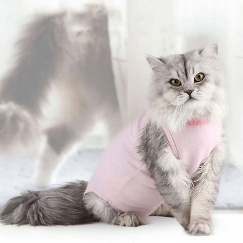 MIĘKKIE UBRANKO POOPERACYJNE DLA KOTA MOLLY S na Arena.pl