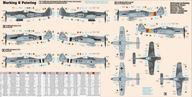 Fw-190 D-9 Rudel, C-10, 1:72 zdjęcie 2