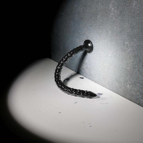scaled anal snake - 12''/ 30 cm na Arena.pl