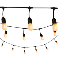 Zewnętrzny łańcuch dekoracyjny girlanda LED 6,2m IP44 ciepła