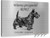 TABLICZKA NAGROBNA pamiątkowa dla psa kota NAGROBKOWA ALUMINIOWA 40x30