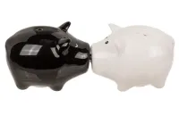 Solniczka i Pieprzniczka - Świnki z Magnetycznymi Noskami