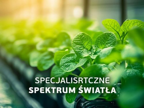 Przewód Kabel Zasilający ze Sterownikiem LED PC do Lampy Growly 3m na Arena.pl