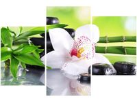 60 90CM OBRAZ 3 ELEM KAMIENIE SPA STORCZYK ŚCIENNY DRUK PŁÓTNO