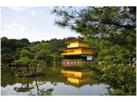 60X40CM ZŁOTY DOMEK MITH HUANG OBRAZ