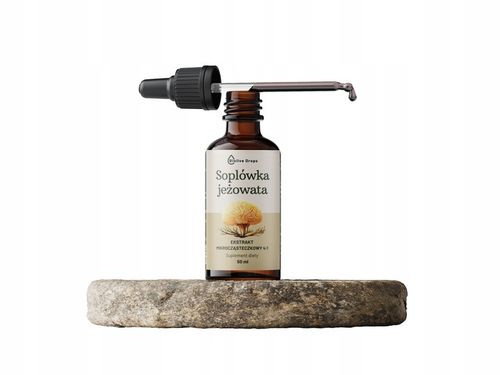 SOPLÓWKA JEŻOWATA KROPLE EKSTRAKT ADAPTOGENY Suplement lion's mane 50 ml na Arena.pl