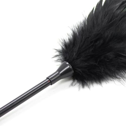 piórko i packa 2w1 plumero na Arena.pl