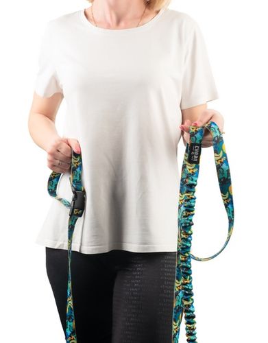 Smycz do biegania z amortyzatorem - Chaba Story III L 25mm/280cm Carnival na Arena.pl