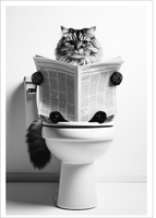 PLAKAT BEZ RAMY do Łazienki WC Toalety KOT NA KIBLU gazeta P2623_50x70