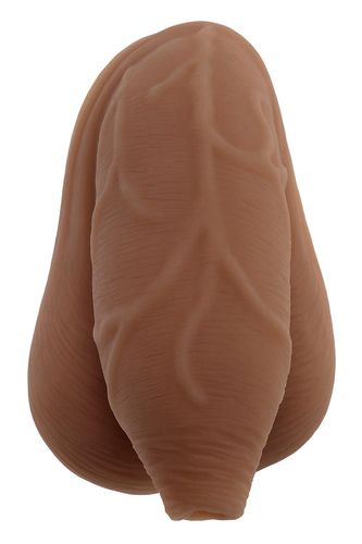 gender x the  uncircumcised  packer dark na Arena.pl