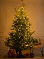 STOJAK CHOINKOWY KAMAI PODSTAWKA POD CHOINKĘ 2M + GRATIS 50 LAMPEK LED