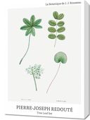 Obraz 50x70cm Design Tree Leaf Set, Redoute Vintage do Salonu