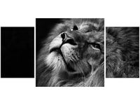 80X40CM SREBRNY LEW TRÓJ OBRAZ