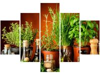 70 100CM OBRAZ 5 ELEM PRZYPRAWY ZIOŁOWE DRUK PŁÓTNO