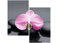 product-compare-58647757