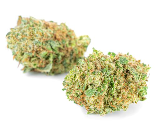 Susz konopny Lemon Haze CBD Exclusive Weed 1g na Arena.pl