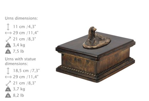 Chart Afgański - eksluzywna urna na Arena.pl