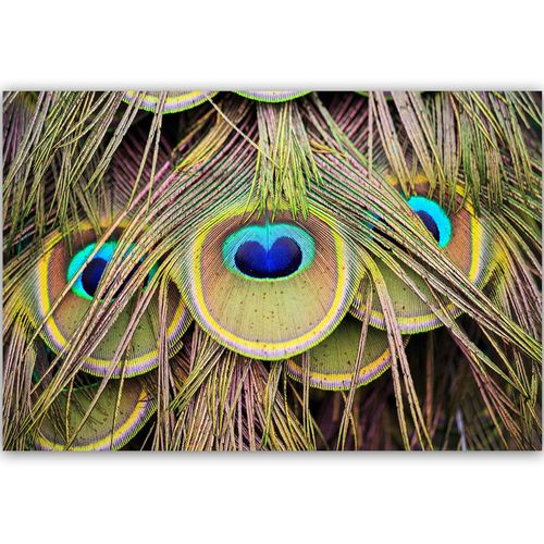 Deco Panel, Pawie pióra 60x40 na Arena.pl
