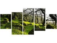 product-compare-58702573