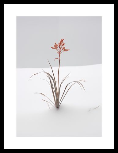 Plakat 21x29,7cm Subtelność Natury na Arena.pl