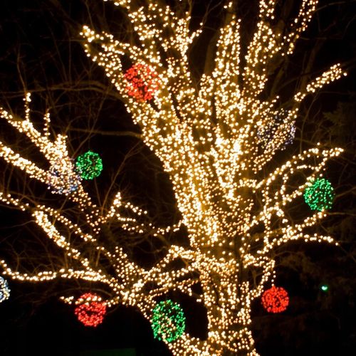 Ciepłe białe lampki choinkowe światełka zewnętrzne 1000LED 50m IP44 FLESH na Arena.pl