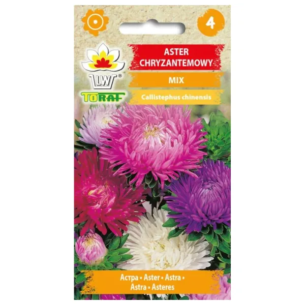 Aster chryzantemowy MIX 1g zdjęcie 1