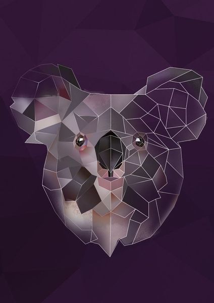 Koala - plakat 60x80 cm zdjęcie 1
