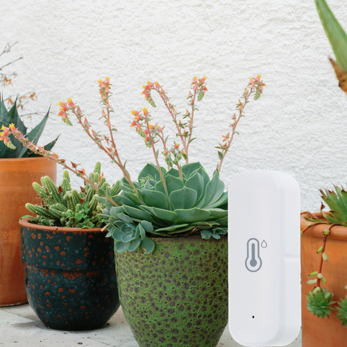 IM002 CZUJNIK WILGOTNOŚCI TEMPERATURY TERMOMETR HIGROMETR na Arena.pl