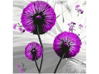 product-compare-58657467