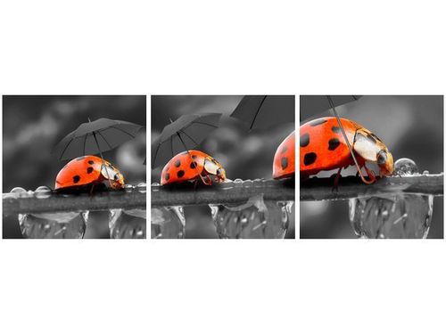 90 80CM OBRAZ T3 ELEM SPACEREK DRUK ŚCIENNY na Arena.pl