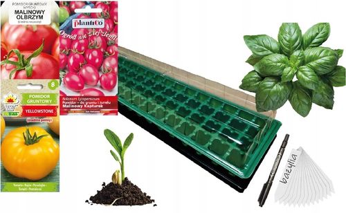 ZESTAW DO WYSIEWU POMIDORY GRUNTOWE NASIONA + INSPEKT + PODŁOŻE + TABLICZKI na Arena.pl