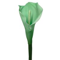 Calla pojedyncza gumowana tiffany