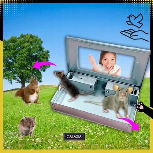 ŻYWOŁAPKA NA MYSZY Pułapka Łapka Na Szczury Pułapki Łapki HUMANITARNA na Arena.pl