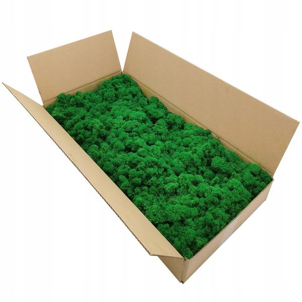 Mech chrobotek dekoracyjny 3 KOLORY zdjęcie 3