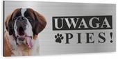 Tabliczka UWAGA ZŁY PIES - BERNARDYN aluminiowa