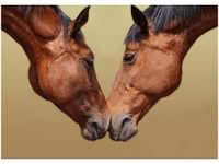 50X70CM KONIE OBRAZ POKOJU DREWNINE