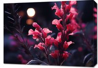 Obraz 70x50cm Wieczorny Blask